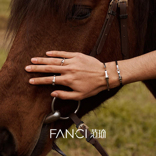 Fanci范琦 马首系列逐风戒指男士925银闭口戒指新年送男友生日礼物 商品图3
