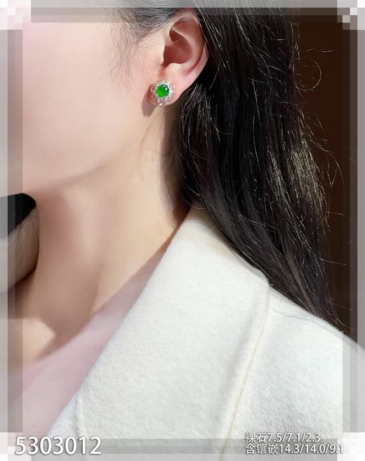 玻璃种艳绿蛋面耳钉【5303012】具体价格微信咨询 商品图4