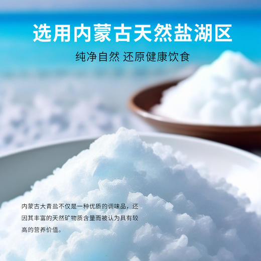 【0317早市】【颗粒均匀】雅布赖 大青盐未加碘 320g/袋 质白无杂 商品图3