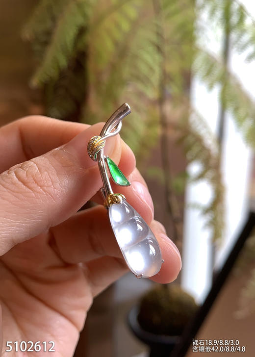 5102612，福豆胸针。具体价格微信咨询 商品图1