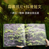 苔藓图鉴（作者张力35年积累｜10万余样片精选150张｜99种代表性苔藓） 商品缩略图1