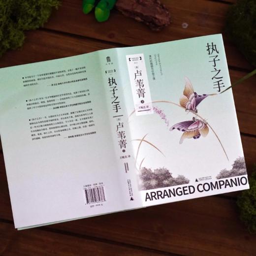 执子之手：清代的婚姻与伉俪之情 卢苇菁/著，王晚名/译 婚姻制度；历史；研究；中国；清代 商品图2