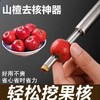 山楂去核器  红枣樱桃山楂不锈钢去核神器 轻松挖核神器 商品缩略图0