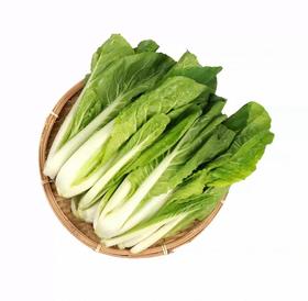 有机快菜