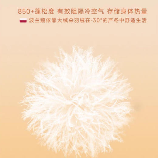 芬腾 鹅绒蚕丝加绒加厚中领套装 男女款 保暖轻盈高弹 舒适度拉满 8813/8823 商品图8