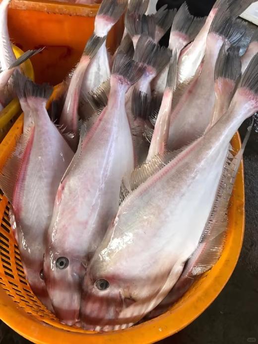& 【大扒皮鱼/耗儿鱼】🐠鲜杀去肚去皮，处理好。肉香不柴肉，深受大家喜欢的一款海鱼 商品图4