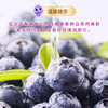 XBD蓝莓125g*6盒（18mm+）【分仓直发，72小时发货，周末节假日不发货】 商品缩略图14
