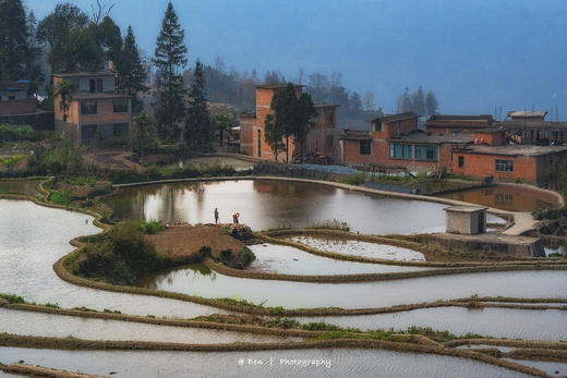 元阳梯田“灌水期”（多依树、老虎嘴、坝达、蓝梯田）5天精品摄影团 商品图2