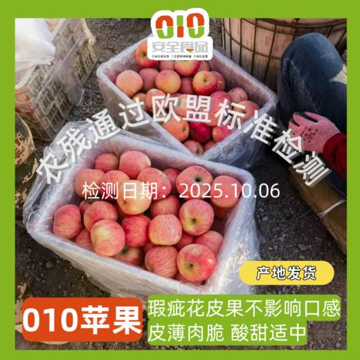 瑕疵果  010宁夏沙坡头旱苹果  表皮带瑕疵 干伤疤 裂痕 上色程度不高等  可烤苹果干 美食搭配 非标准商品果 商品图0