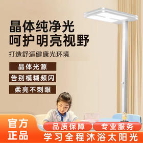 暖妈专享 | 晶体纯净光落地灯（触屏款）