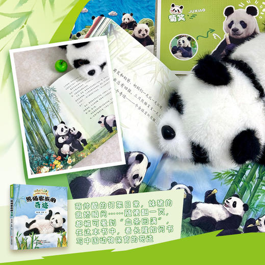 《动物大王在长隆：熊猫家族的奇迹》沈石溪首部探秘长隆野生动物世界的动物小说，三代国宝的家族传奇暖心逗趣的成长故事 商品图1