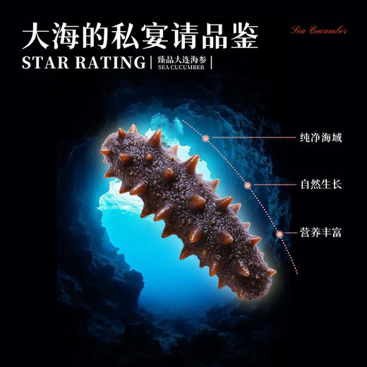 【顺丰快递】臻品海参 来自大连纯净海域 自然成长 营养丰富 参刺粗壮挺拔 肉壁厚实 参筋粗壮 口感 Q弹 AXTM 商品图8