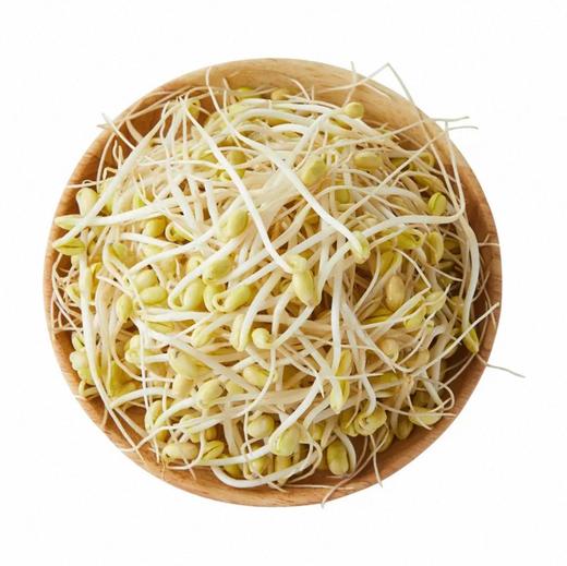 有机黄豆芽 商品图0