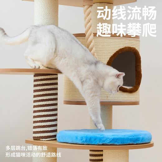 家居风木质爬架（单桶） （包邮）-B 商品图2