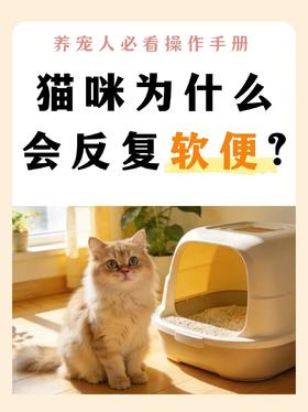 猫咪为什么会反复软便？