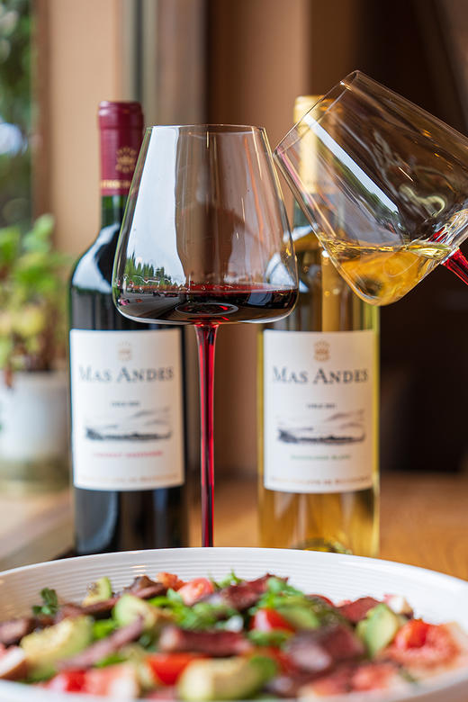 【智利原瓶进口 百年酒庄 来自罗斯柴尔德家族】  MAS ANDES罗斯柴尔德男爵玛安蒂白红葡萄酒系列 商品图7