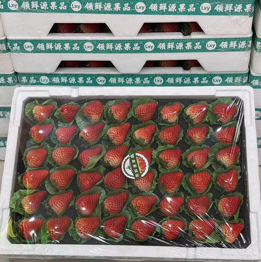 【丹东99草莓】明星产品，一定要尝一尝，娇艳欲滴，草莓娇嫩，部分果子有磕碰属正常现象，请勿介意 商品图7