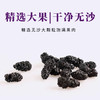 【新货】轩泰医桑葚干 头茬鲜货 大粒无沙桑葚干 升级罐装 250g/罐 商品缩略图1