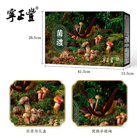 寻味山野—福聚山珍礼盒 （净含量:605克） 商品图3