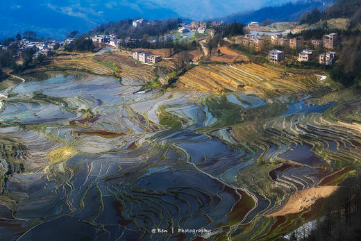 元阳梯田“灌水期”（多依树、老虎嘴、坝达、蓝梯田）5天精品摄影团 商品图10