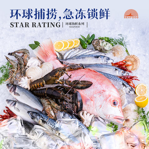 【顺丰特快】 高端海鲜礼盒 2026新春高端礼遇 深海之礼 鲜美直达 鲜香入味 肉质鲜嫩 味道鲜美 健康营养  AXMT 商品图7