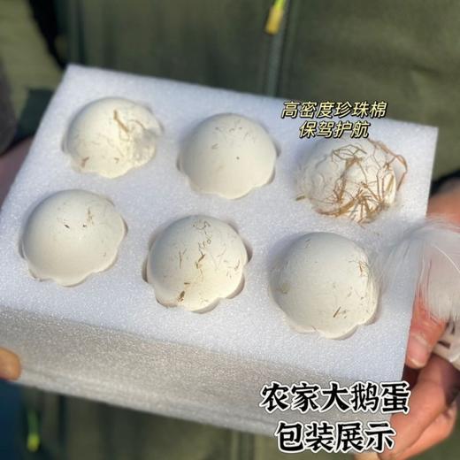 土家高山散养土鹅蛋【顺丰发货】 商品图7