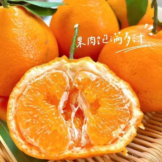 【耙耙柑】清甜多汁不用吐籽，无渣，9分甜1分酸，原生态自然熟，好吃不上火，新鲜采摘发货 商品图0