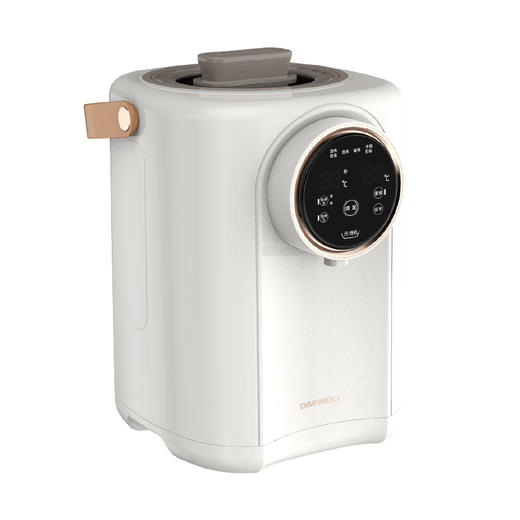 大宇电热开水瓶DYSP-3018【分仓直发，72小时发货，周末节假日不发货】 商品图2