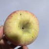 瑕疵果  010宁夏沙坡头旱苹果  表皮带瑕疵 干伤疤 裂痕 上色程度不高等  可烤苹果干 美食搭配 非标准商品果 商品缩略图3