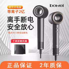 希尔顿酒店bowei泊为吹风机B11家用负离子静音速干民宿宾馆电吹风