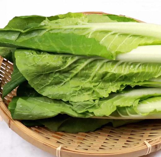 有机快菜 商品图1