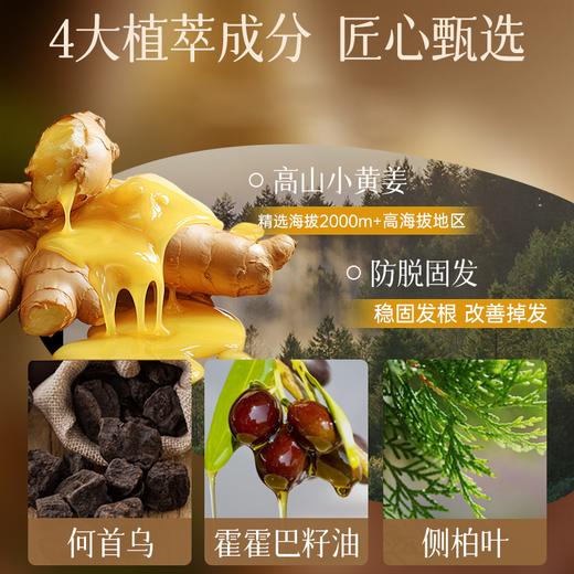 卓蓝雅经典款防脱洗发水/护发素250ml 商品图3