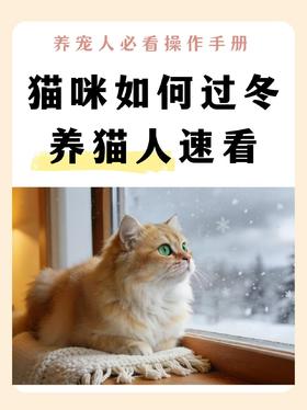 猫咪如何过冬