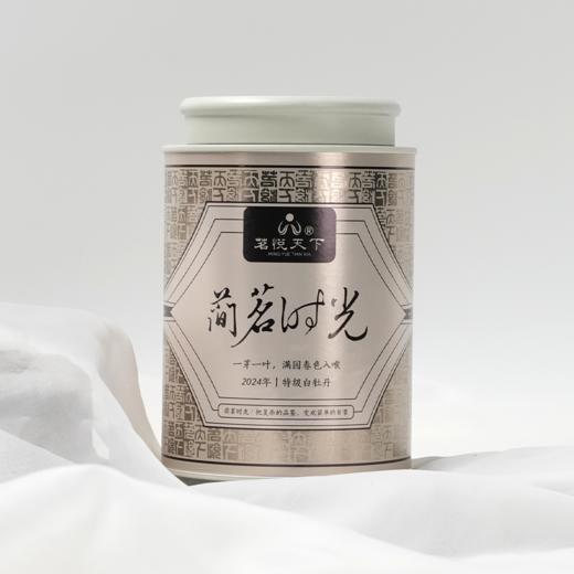 【简茗时光】2024年白牡丹 商品图0