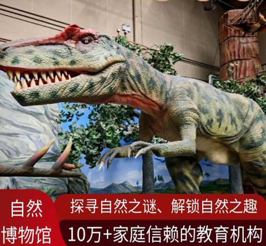 【6人成团】国家自然博物馆1日（需要提前7天预约） 商品图0