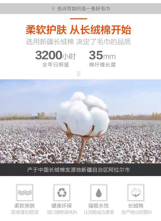 单条装 洁丽雅毛巾25*50规格 商品图3