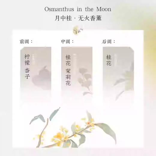 宋朝月中桂无火桂花香薰家用室内卧室高级精油厕所熏香氛 商品图1
