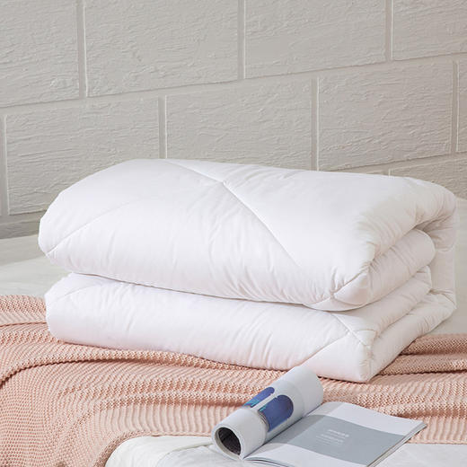 罗莱A类航天澳洲羊毛冬被200*230cm【分仓直发，72小时发货，周末节假日不发货】 商品图2