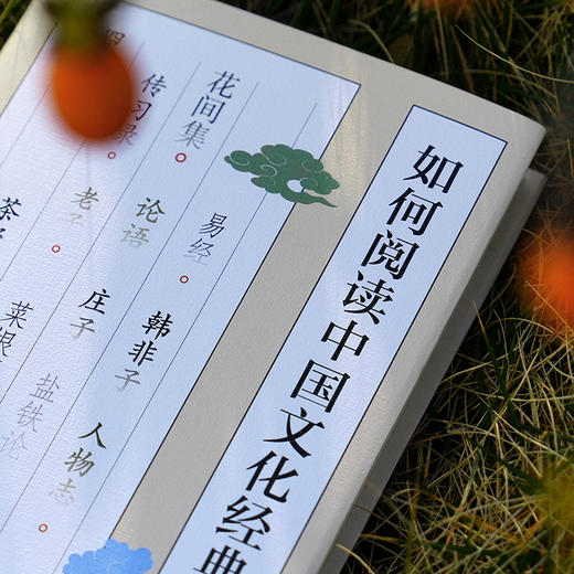 如何阅读中国文化经典 商品图2