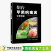 烟台苹果病虫害诊断图鉴【官方正版，可开发票】 商品缩略图0