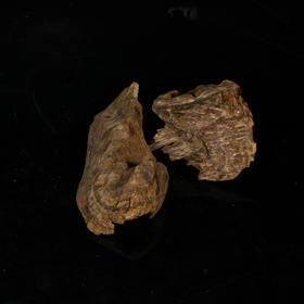 AN211229-24    芽庄熏香料  5克装