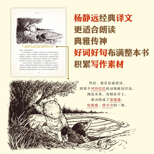 《柳林风声》精装一册  7-15岁  戴维·彼得森 历时3年绘制插图  销量遥遥领先·更适合收藏的古典插图版本 商品图5