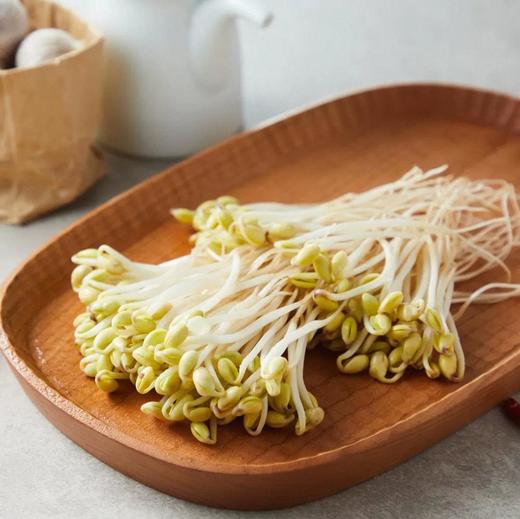 有机黄豆芽 商品图3