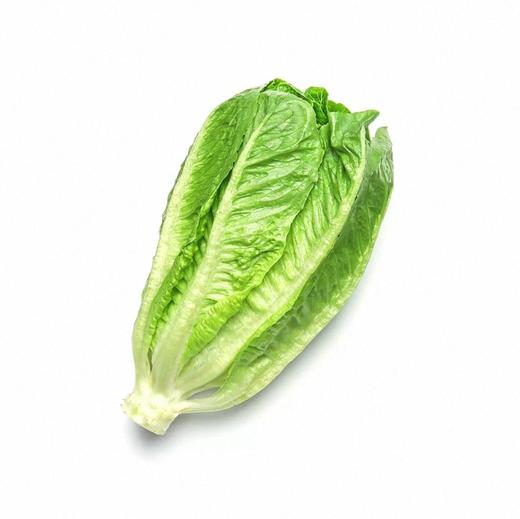 有机意大利生菜 商品图2