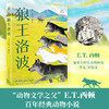极光国际大奖儿童文学经典系列第五辑（全3册） 商品缩略图2