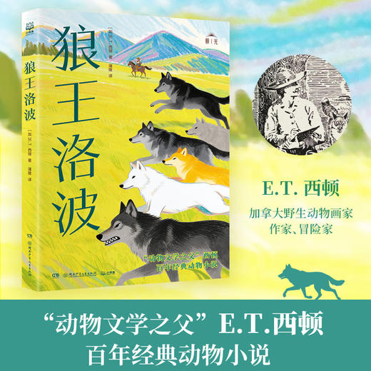 极光国际大奖儿童文学经典系列第五辑（全3册） 商品图2