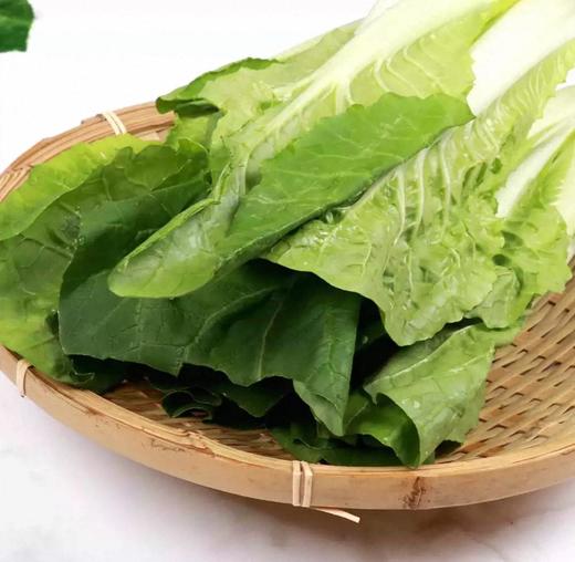 有机快菜 商品图2