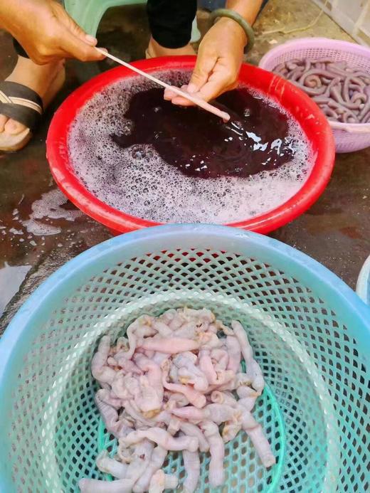 &【新鲜沙虫】当季好货❗海洋里面的“冬虫夏草”，营养价值高。 商品图2