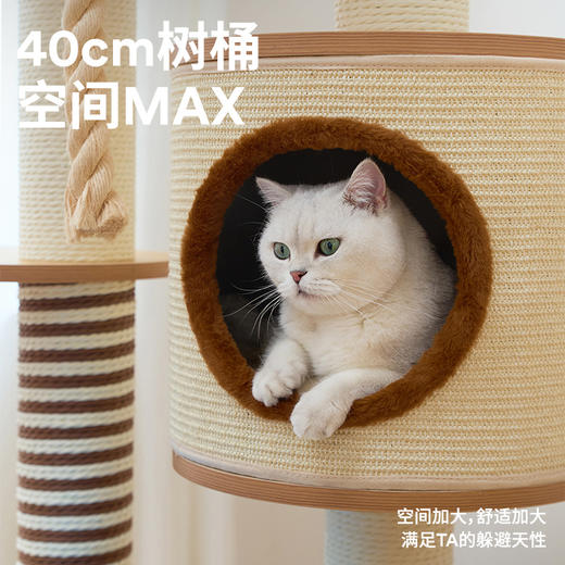 家居风木质爬架（单桶） （包邮）-B 商品图3