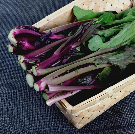 有机红菜苔 商品图3